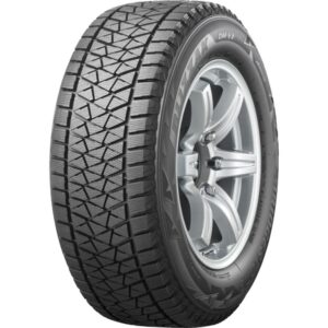 BRIDGESTONE BLIZZAK DM-V2